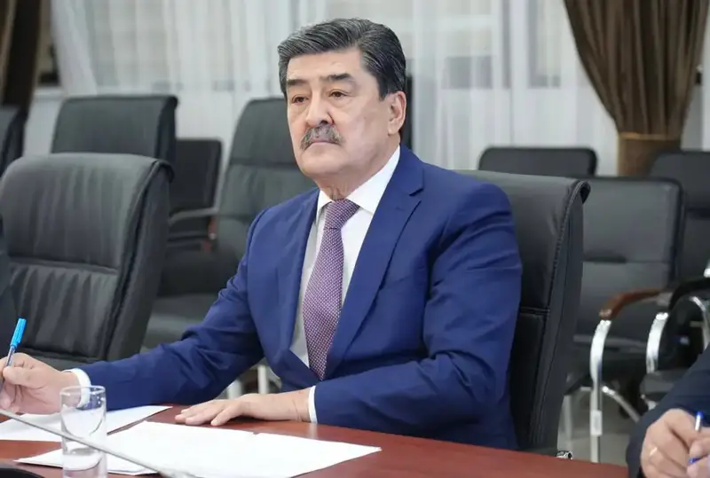 Министр Н.Е. Нысанбаев встретился с Постоянным представителем ПРООН в Казахстане г-жой К. Вавьерниа (2)