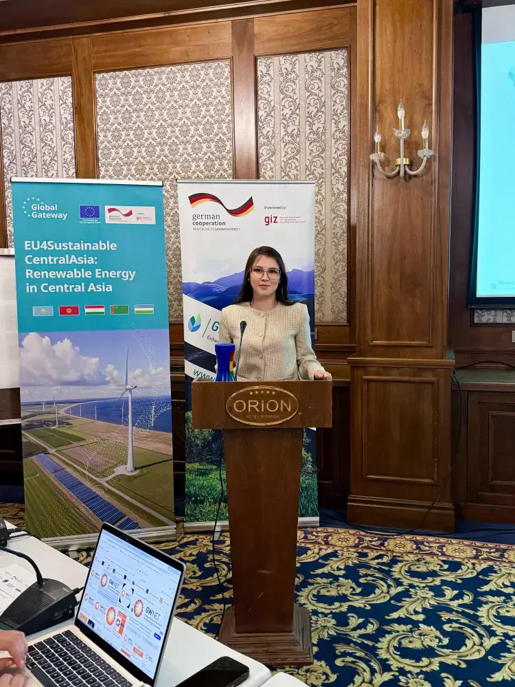 К 2050 году Казахстан планирует обеспечить 50% выработки электроэнергии за счет ВИЭ (2)