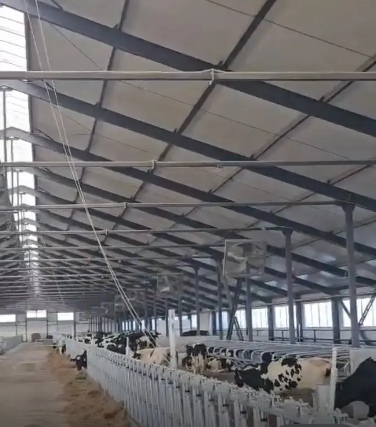 Первая партия племенных телок из Дании прибыла в Павлодарскую область для создания молочно-товарной фермы Астане