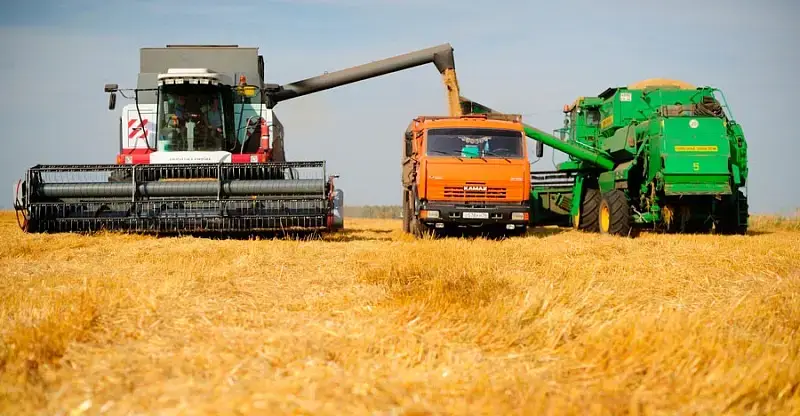 В Ескельдинском районе Жетісу на 1700 гектарах земли применяются влагосберегающие технологии (3)