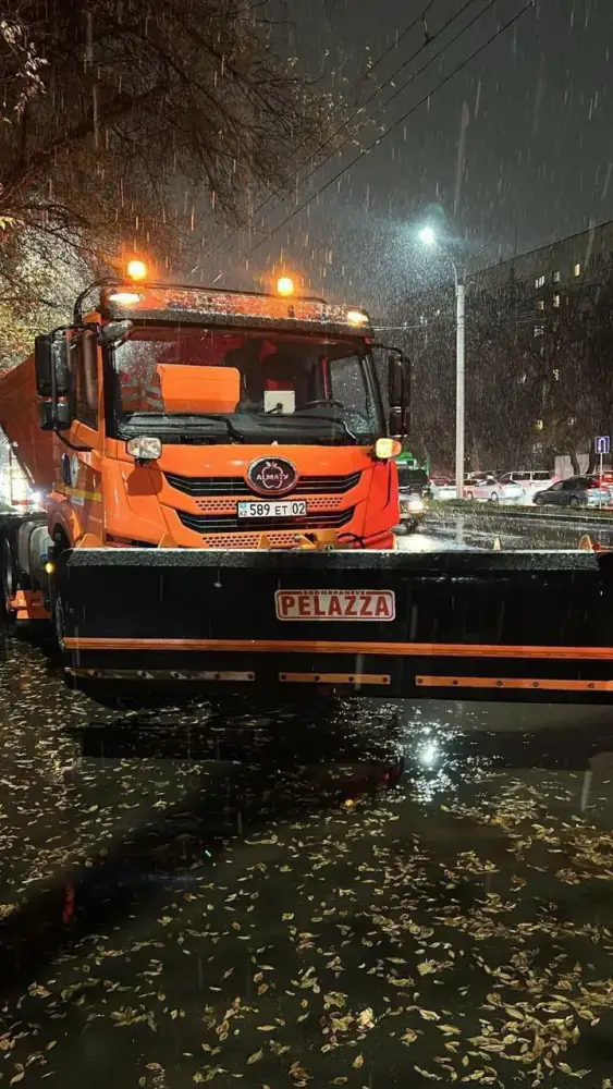 В Алматы усилена работа служб для обеспечения безопасности в период осадков (4)