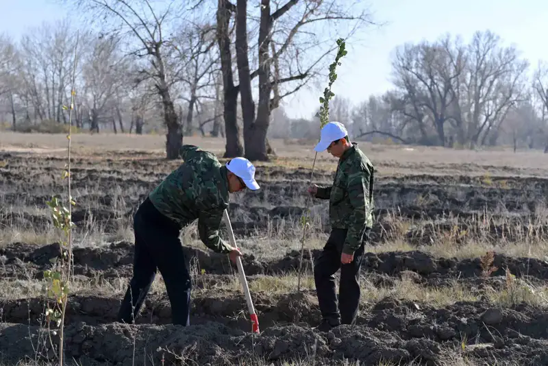 Аким области: Работы по обеспечению чистоты в регионе должны вестись круглый год – зимой и летом (6)