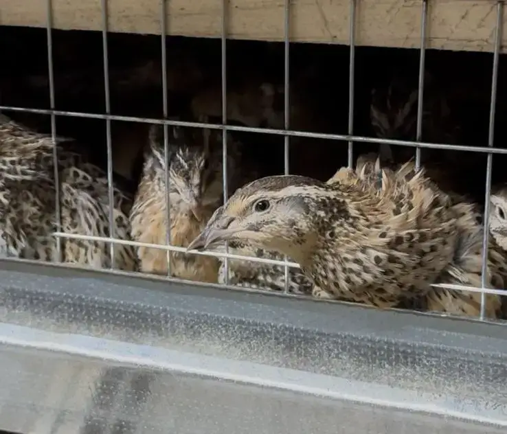 От идеи до собственного дела: как в Карагандинской области работает программа поддержки молодёжного бизнеса (3)