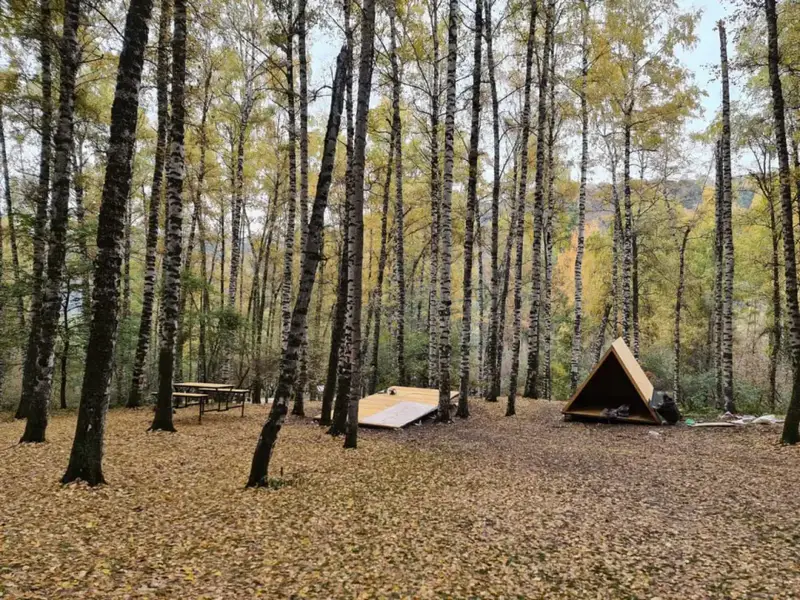 Алматы принимает рекордное количество туристов Астане