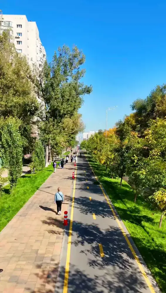 Больше зелени и света — в Алматы на улице Торайгырова завершили масштабное обновление (2)