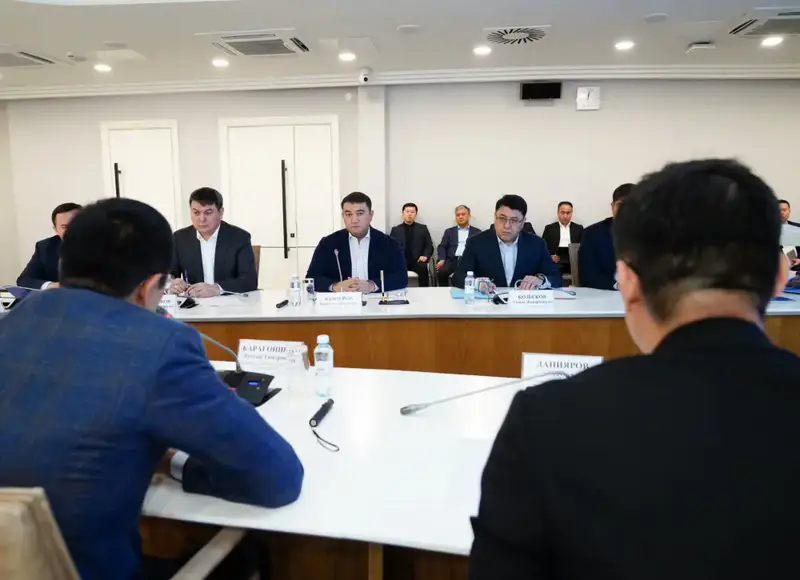 Аким Туркестанской области Нуралхан Кушеров встретился с Рустамом Карагойшиным для обсуждения совместных проектов Астане