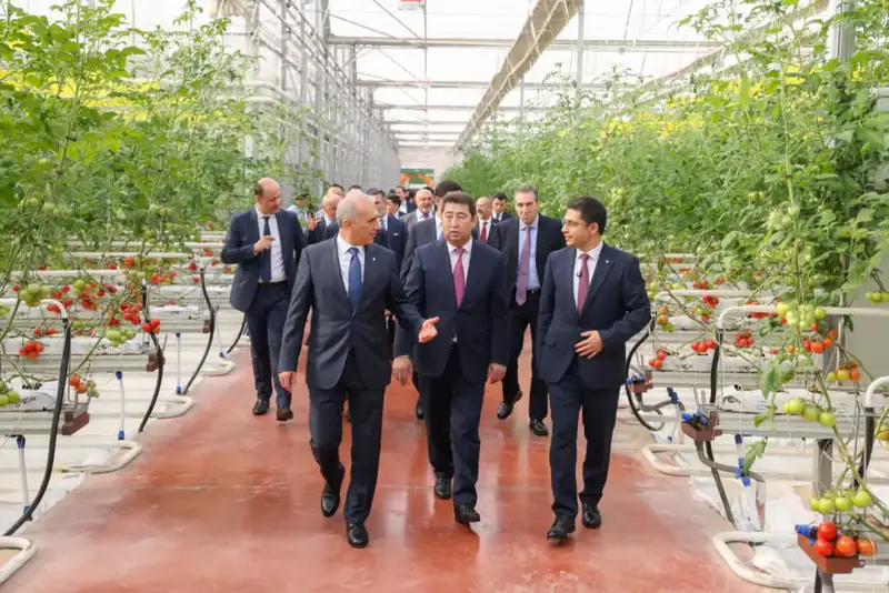 Первый урожай томатов в Шымкенте: новый этап в развитии местного сельского хозяйства и поддержка продовольственной безопасности региона Астане