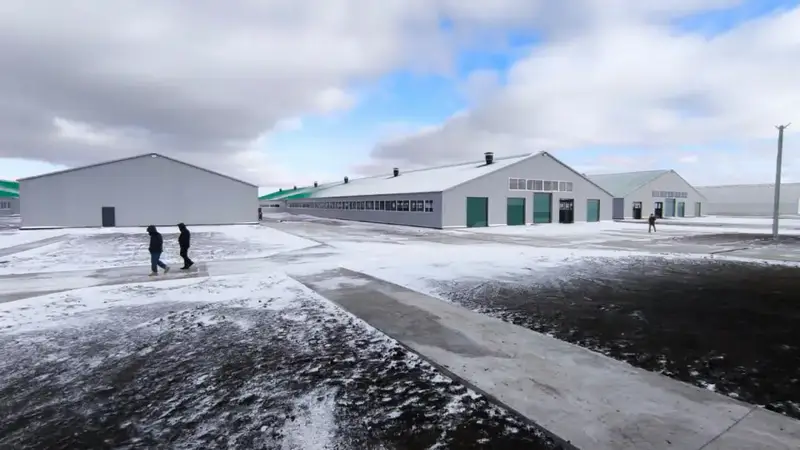 В Костанайской области запустили молочно-товарную ферму на 1200 голов (5)