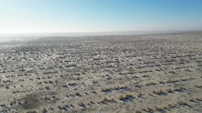 Посадка саксаула на дне Аральского моря до 2025 года Астане