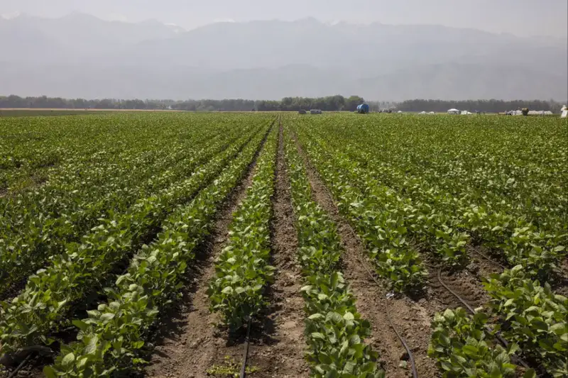 В Алматинской области обсудили дефицит бюджетных средств в финансировании сельского хозяйства Астане