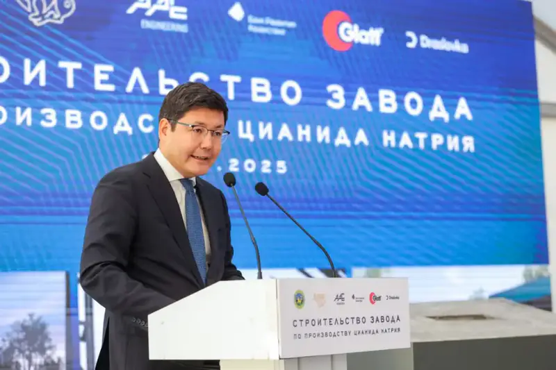 Завода по производству цианида натрия строят в Жамбылской области (5)