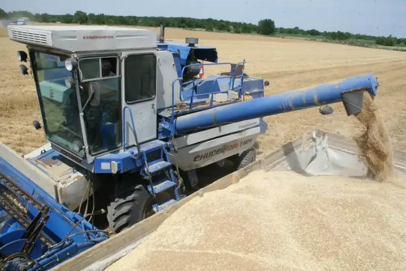 Рост валовой продукции сельского хозяйства в Казахстане на 5,4%: шаг к продовольственной безопасности страны Астане