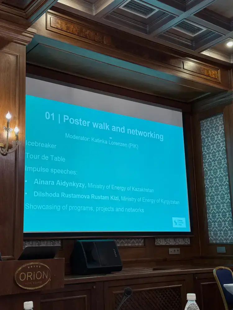 К 2050 году Казахстан планирует обеспечить 50% выработки электроэнергии за счет ВИЭ (3)