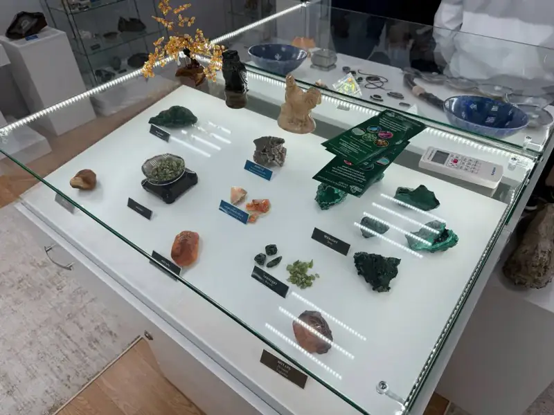 Минералы и служба: уроки патриотизма для школьников Астане