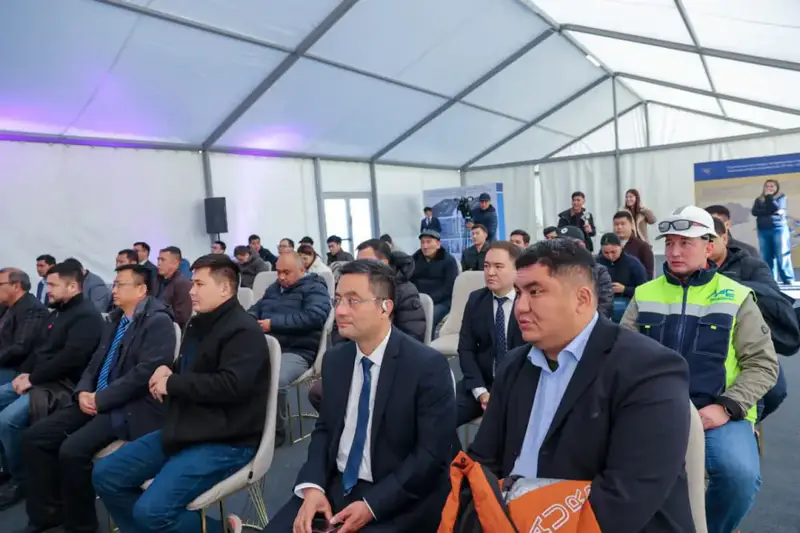 Завода по производству цианида натрия строят в Жамбылской области (4)