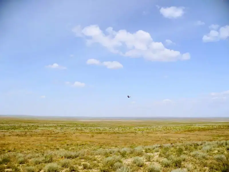 Возвращение неиспользуемых сельскохозяйственных земель в Абайской области: шаг к улучшению экономической эффективности и устойчивому развитию Астане