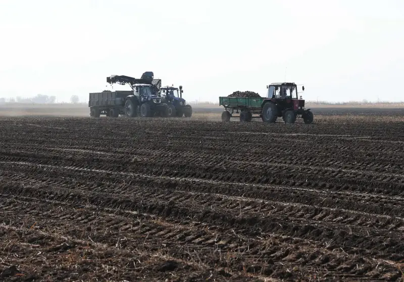 Ербол Карашукеев ознакомился с развитием свекольной отрасли в Меркенском районе (4)