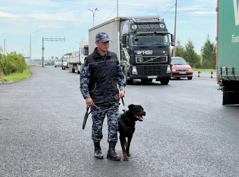 Гашиш найден в BMW в Астане во время операции полиции Астане