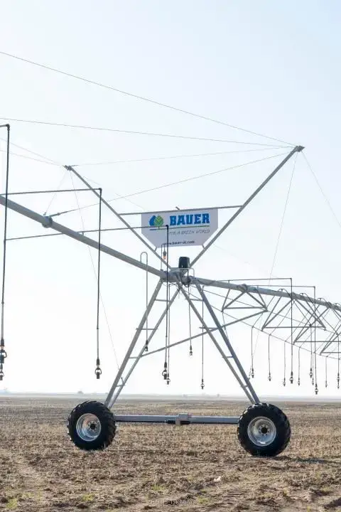 Дождь на полях: Жетісу ждет зеленое будущее! Астане