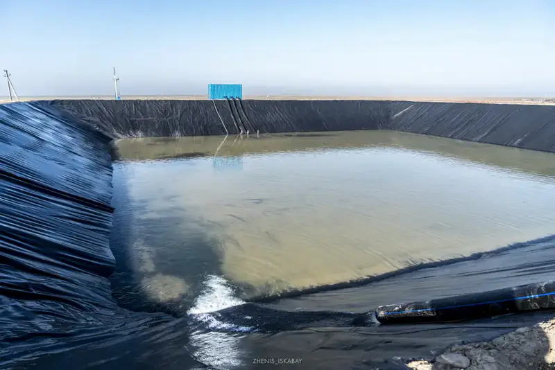 Аграрии Жетісу реализуют проект по выращиванию кормов, используя влагосберегающие технологии (2)