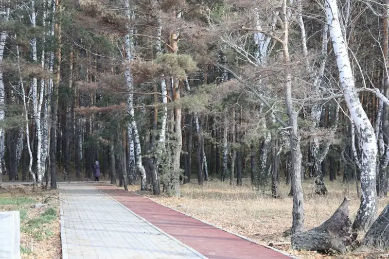 В Макинске завершается благоустройство городского парка (2)