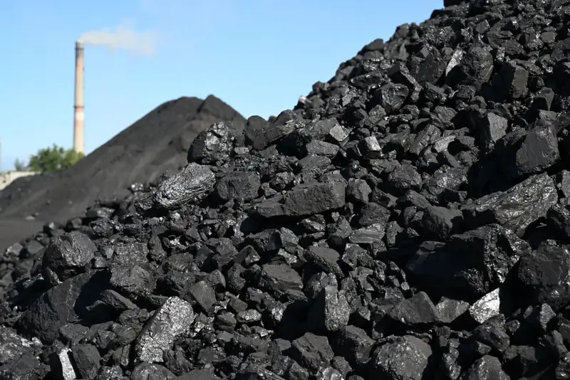 В Жетісу продолжается доставка угля: в сутки в среднем 38 вагонов Астане