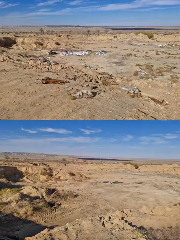 В Балхаше ликвидируют свалки и устанавливают новые контейнеры для мусора (8)