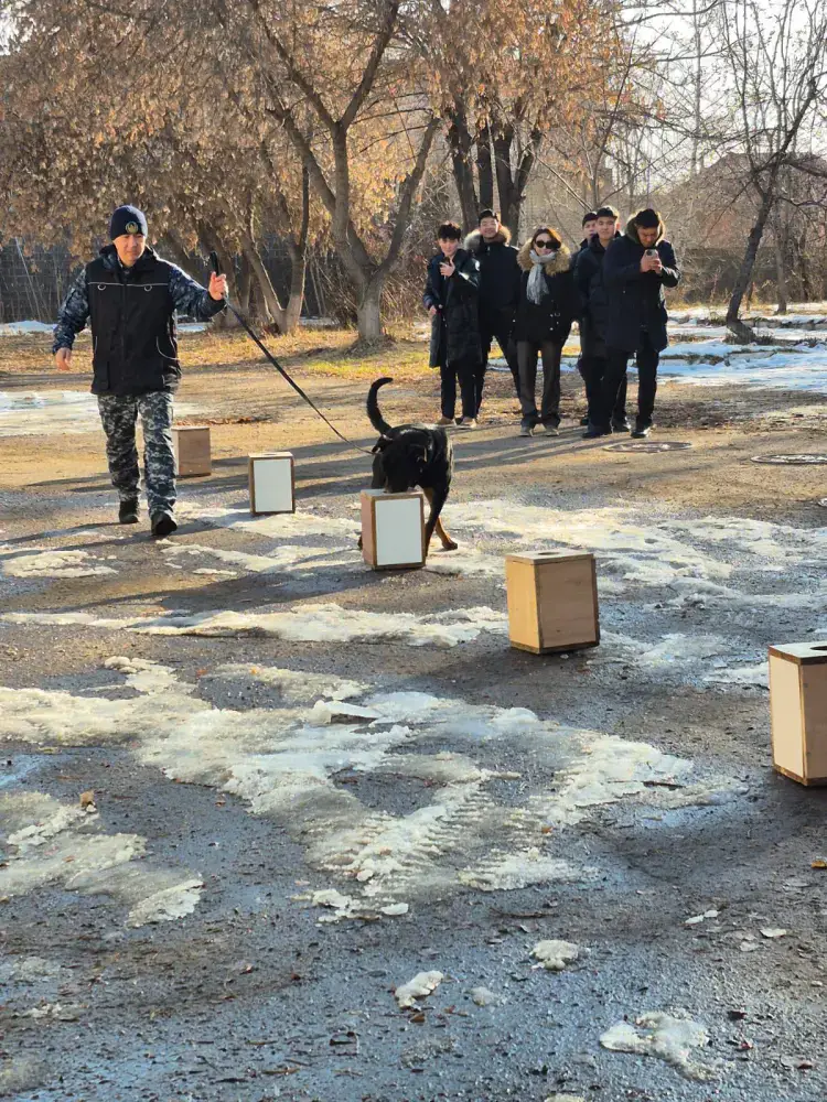 «Закон и порядок»: столичным студентам показали работу кинологической службы полиции Астаны (4)