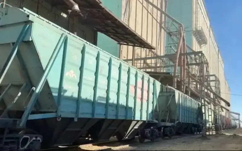 Зерно дружбы: Казахстан возобновляет поставки пшеницы в Армению после трех десятилетий Астане