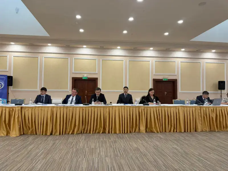 Айша Айткалиева на консультации УВКПЧ в Алматы Астане