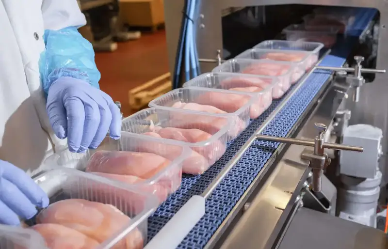 В области Жетісу откроется новое предприятие по переработке мяса птицы (10)