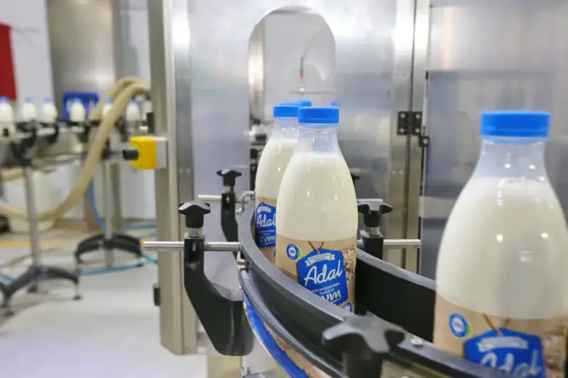 Рост промышленного производства в Алматинской области: новые возможности для инвестиций и инноваций Астане