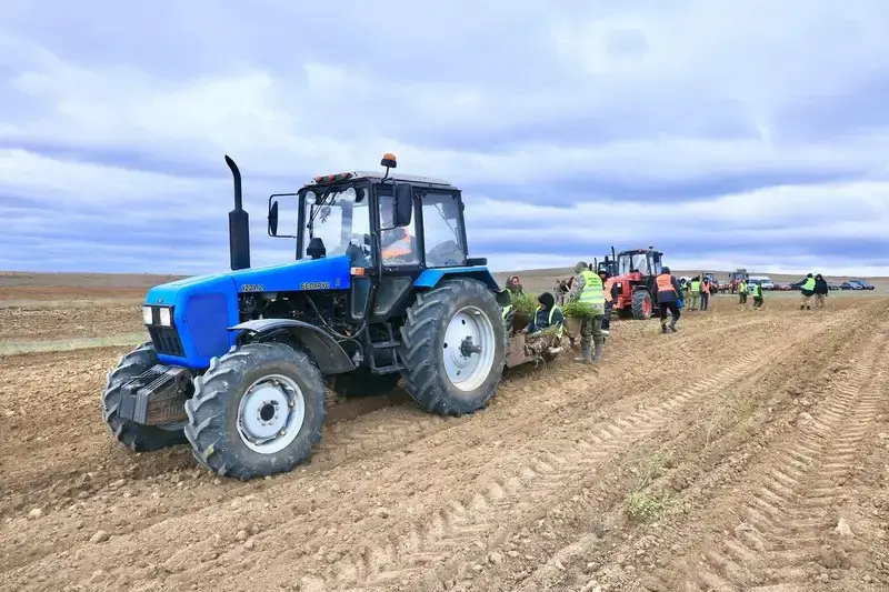 В Карагандинской области увеличивают площади зелёных насаждений (2)