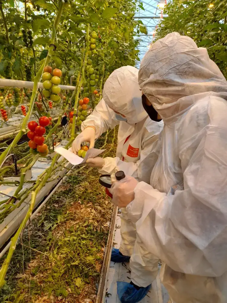 Платная фитосанитарная экспертиза: инвестиции в здоровье аграрного сектора Казахстана Астане