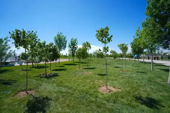 Субботники в Туркестане участие 40256 человек вывоз мусора 186 тонн Астане