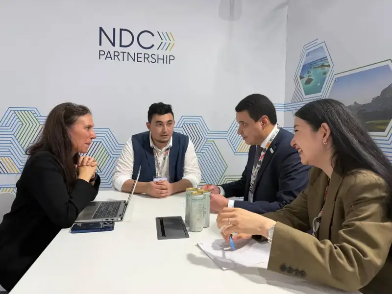 Двусторонняя встреча вице-министра Мансура Ошурбаева и представителей Партнёрства по ОНУВ на COP30 Астане