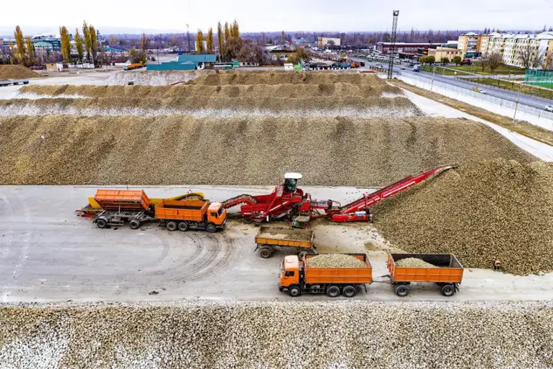 В Жетісу объем переработки производимой в регионе продукции достиг 68% (5)