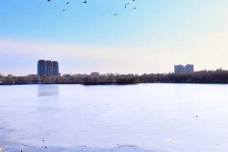 В Центральном парке Караганды посчитали деревья (6)