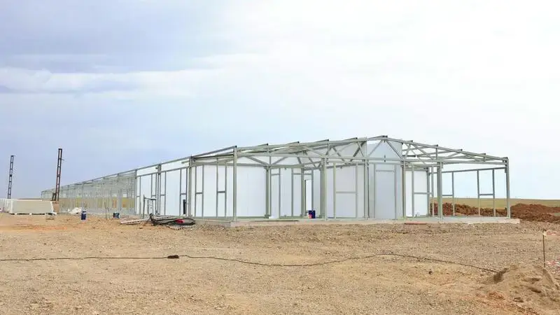 Как в Карагандинской области сдерживают цены на продукты (8)