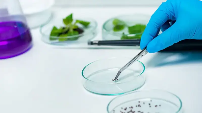 Платная экспертиза в Казахстане для продовольственной безопасности Астане