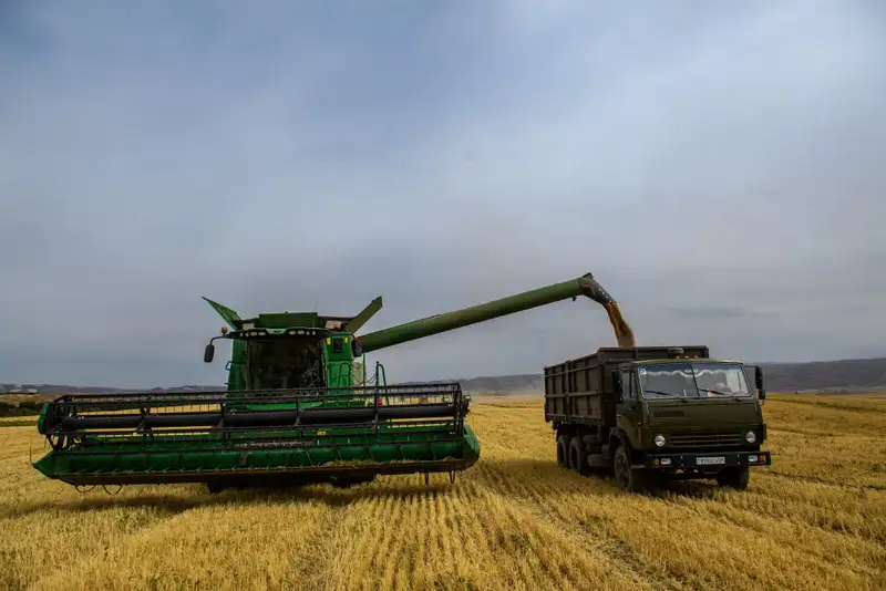 В Жетісу объем переработки производимой в регионе продукции достиг 68% (10)