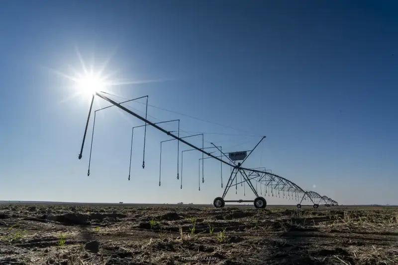 Аграрии Жетісу реализуют проект по выращиванию кормов, используя влагосберегающие технологии (9)