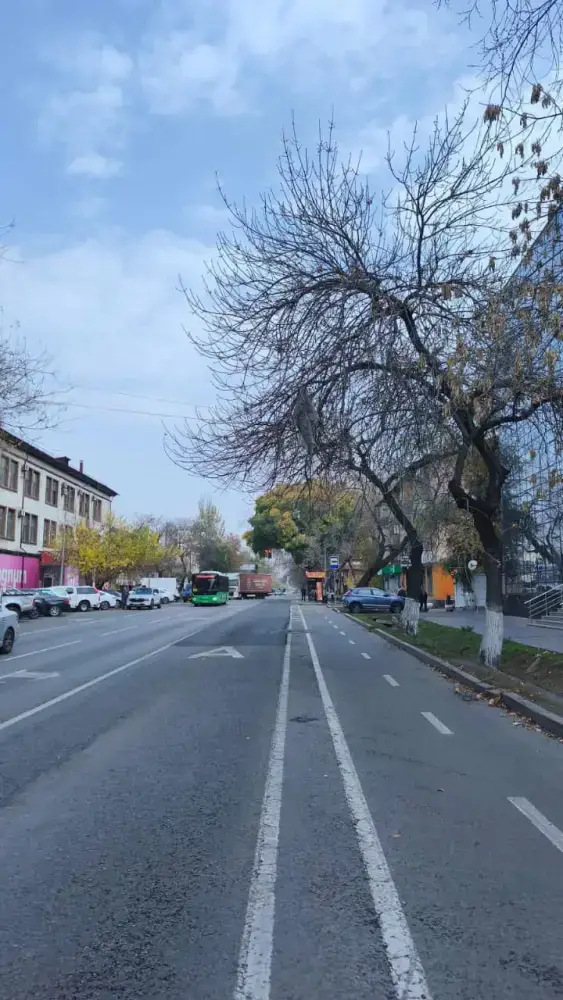 В Алматы демонтируют болларды вдоль велополос для эффективной зимней уборки дорог (2)