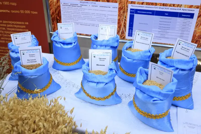 В Карагандинской области наградили лучших работников сельского хозяйства (10)