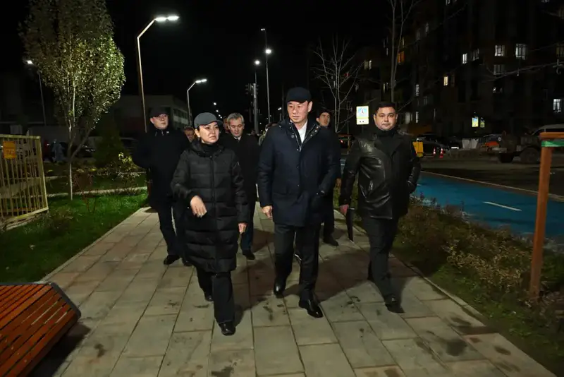 Дархан Сатыбалды оценил результаты освещения фасадов в новых микрорайонах (4)
