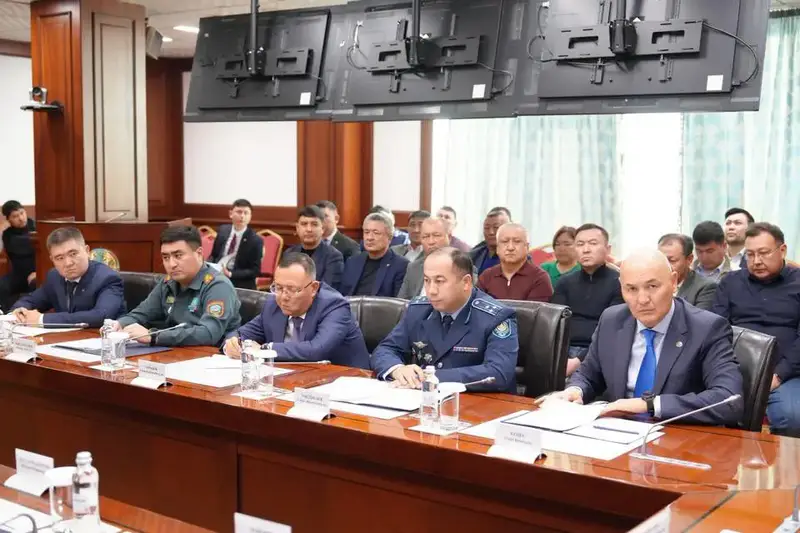 Социальный газ должен продаваться только населению (4)