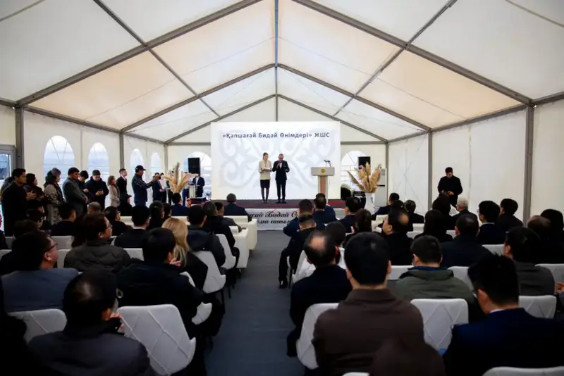 В Конаеве открыли завод по переработке пшеницы на 15 млрд тенге (2)