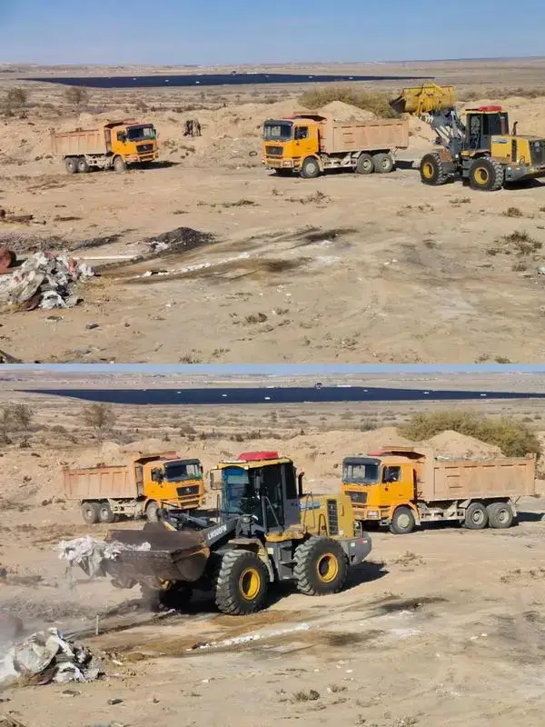 В Балхаше ликвидируют свалки и устанавливают новые контейнеры для мусора (5)