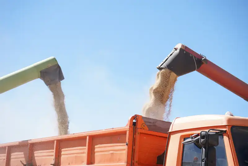 В области Жетісу сахарные заводы переработали уже 54 тыс. тонн сладкого корнеплода (8)