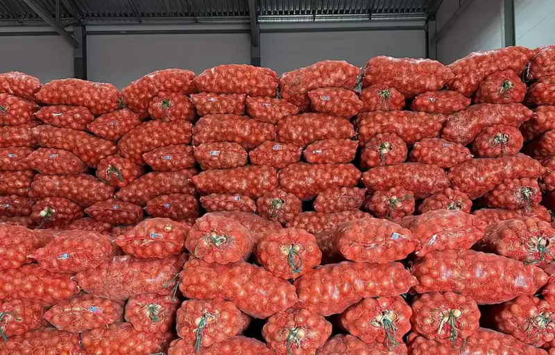 Инвестиции в продовольственный стабилизационный фонд Актюбинской области Астане